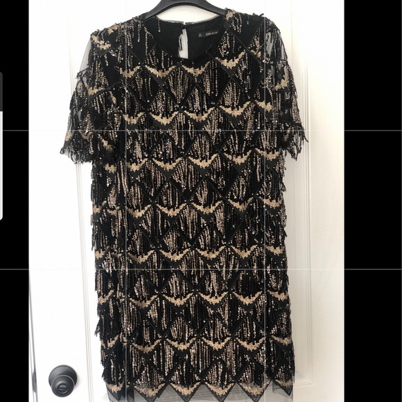Zara Dresses & Skirts - Zara Fringed Sequin Dress